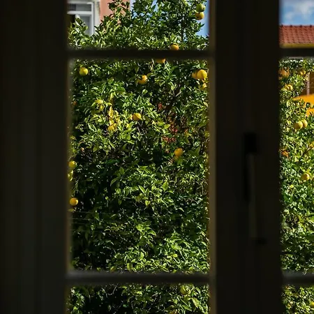Sunny Apartment In The Heart Of Principe Real Lisbon Exterior photo